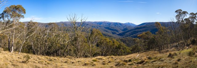 Untitled_Panorama1.jpg