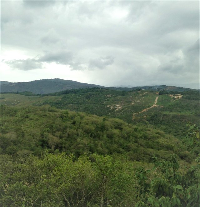 IMG_2298lluvia 1.jpg