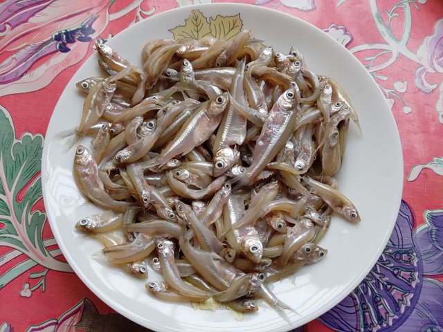 20220125_124936552.jpg