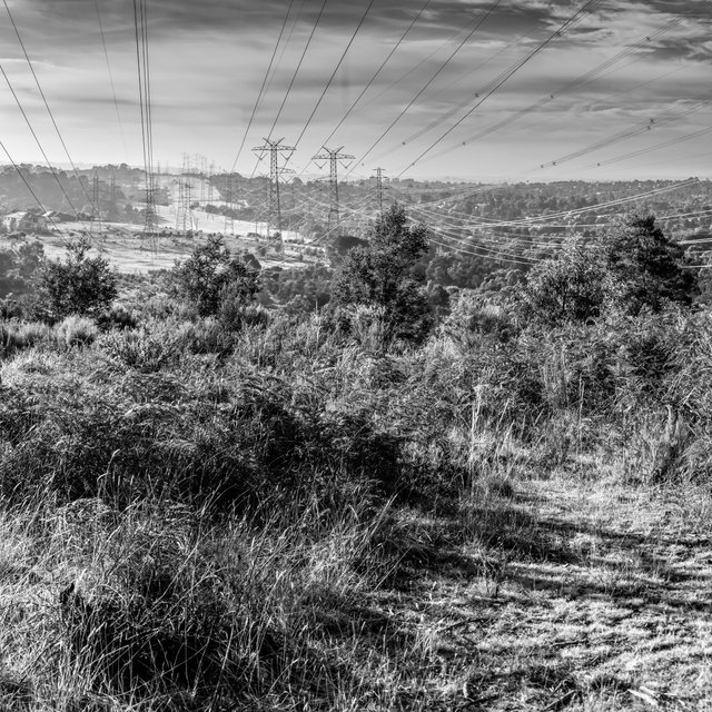 _DSC9029-Pano-Edit.jpg