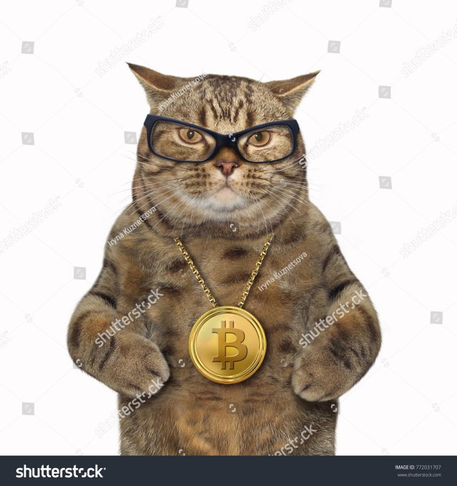 кот.jpg