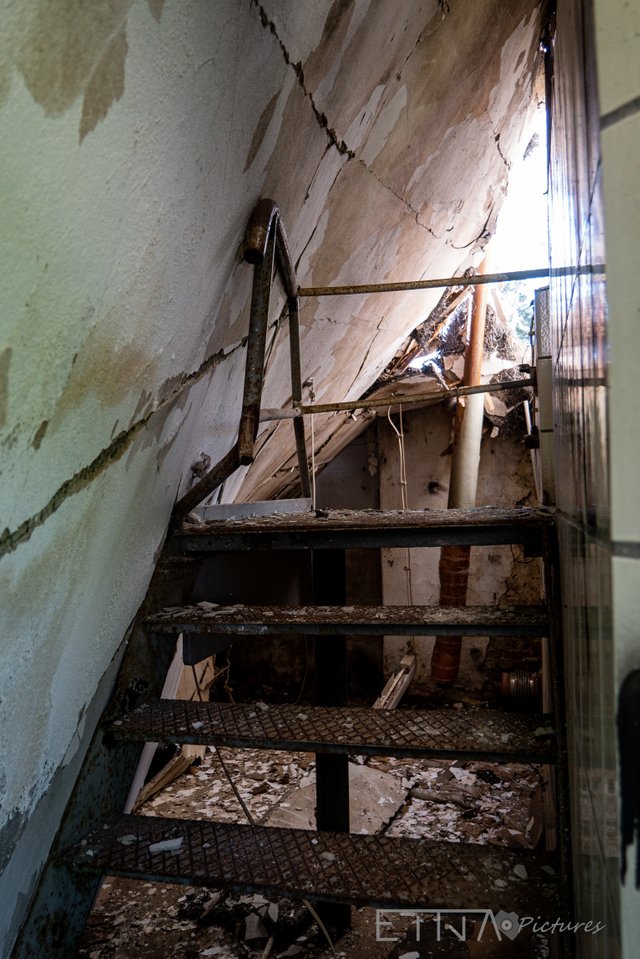 Wald-Krankenhaus-8.jpg