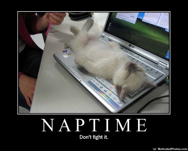 NaptimeDontfightit.jpg