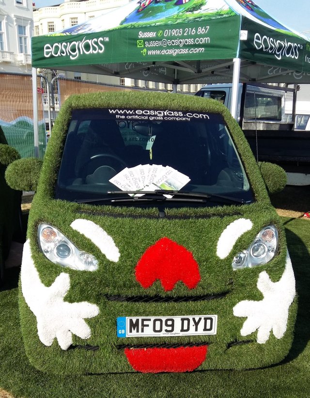 astro turf car.jpg