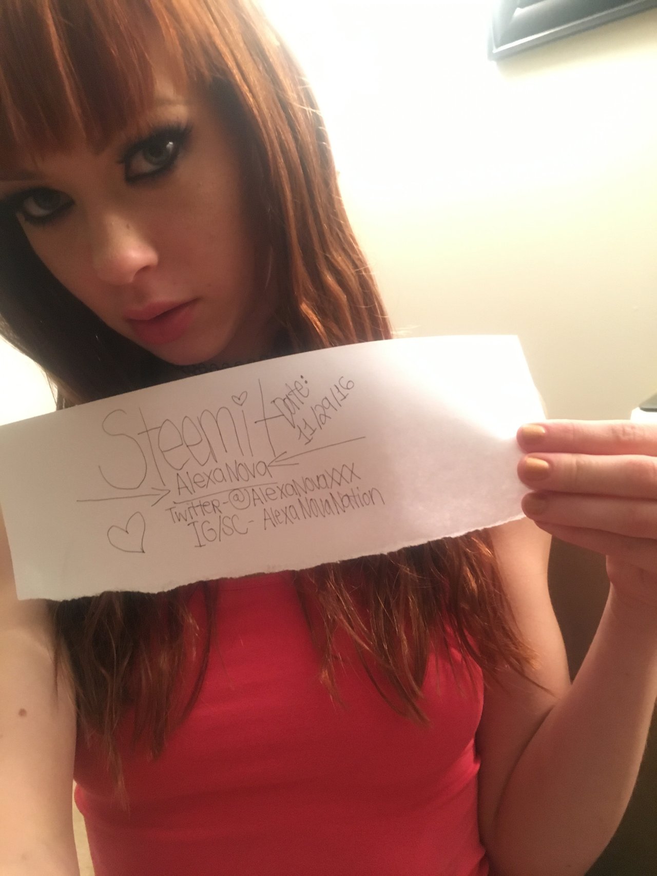 Алекса нова. Алекса Нова порностудии. Алекс Нова рыжая. Alexa Nova Princesse. Alexa Nova Мем.