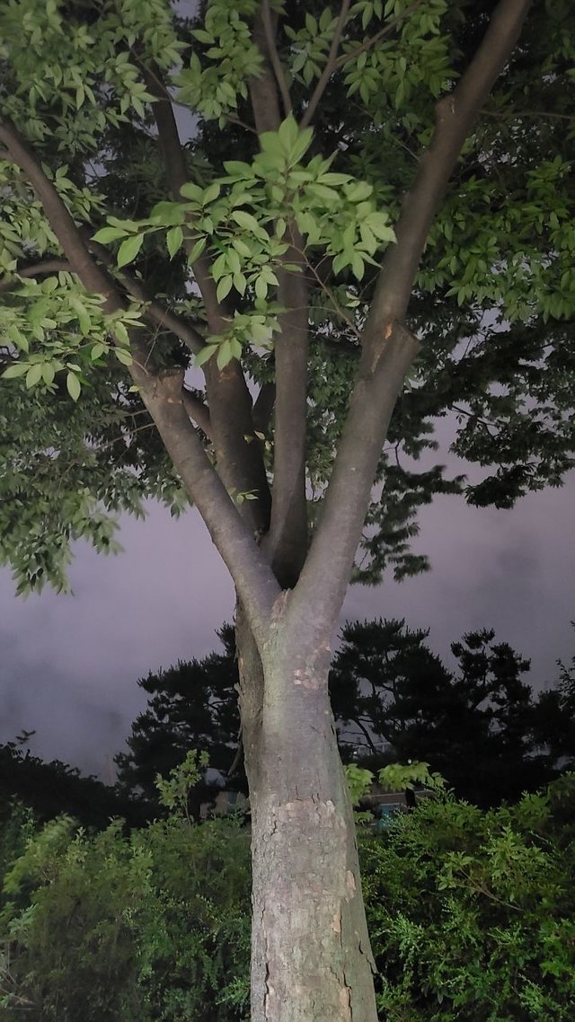 IMAGE 2022-06-29 17:03:04.jpg