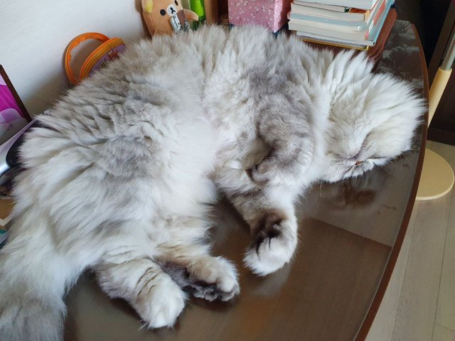 IMAGE 2021-10-02 09:55:27.jpg