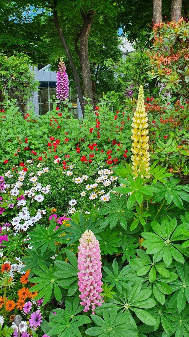 IMAGE 2021-05-12 10:25:57.jpg