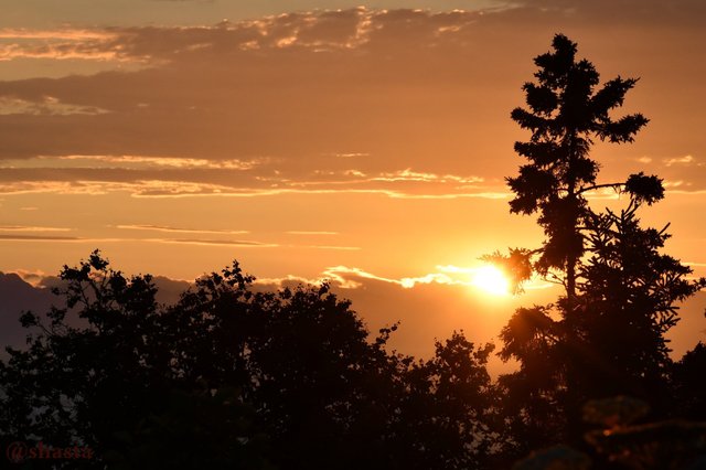 shasta2018july22nd47sunset7io.jpg