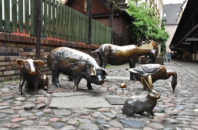 Wroclaw jatki animals 2.jpg