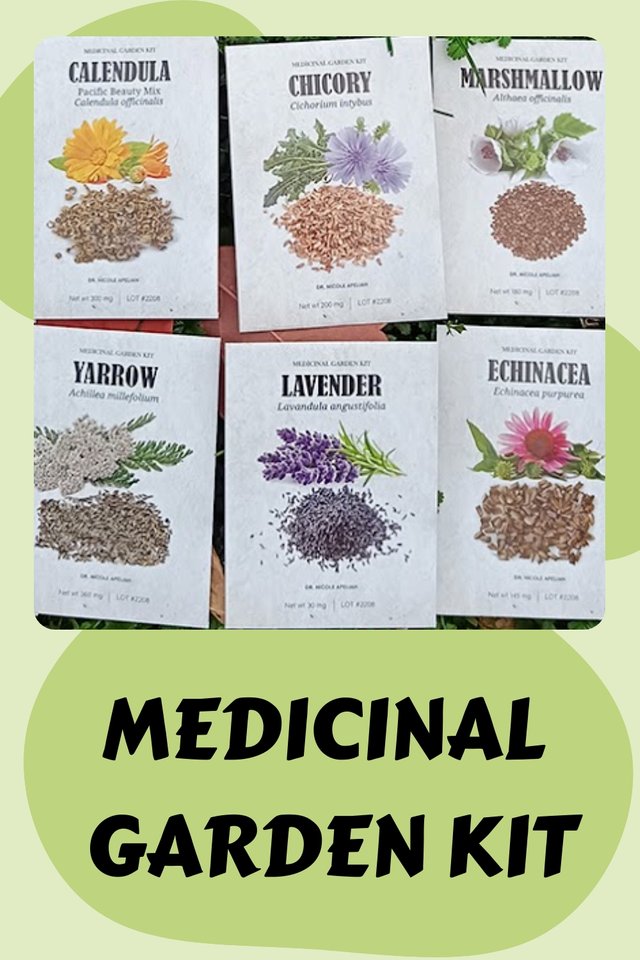 Medicinal-Garden-Kit-4262857.jpeg