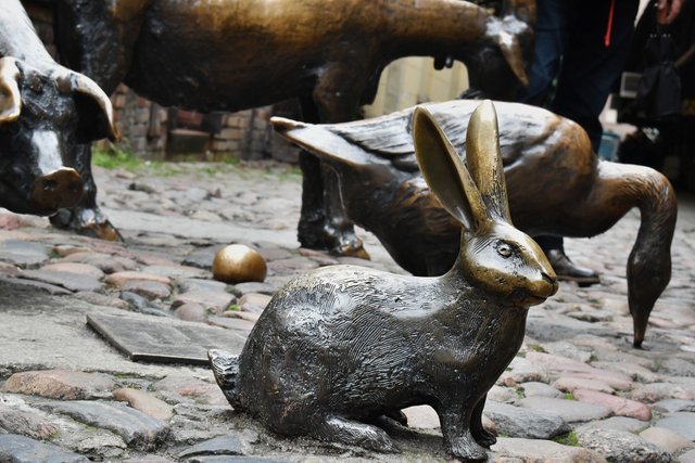 Wroclaw jatki animals 3.jpg