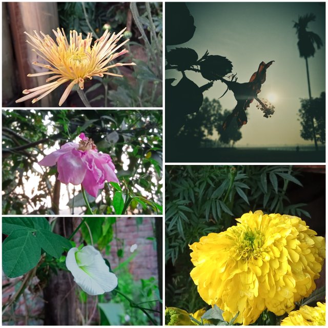 Picsart_23-01-26_22-32-12-455.jpg
