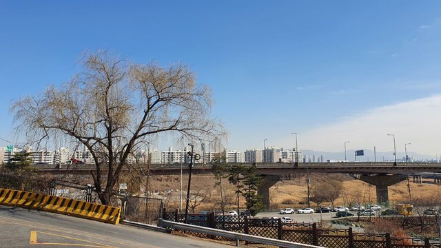 IMAGE 2021-02-24 23:50:30.jpg