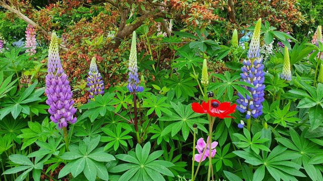 IMAGE 2021-05-12 10:25:42.jpg