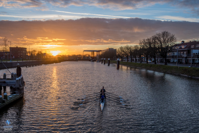 middleburg_golden_hour_rowing.jpg