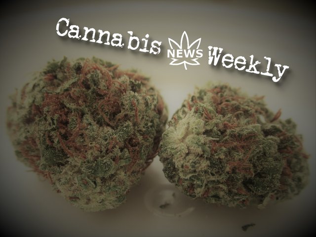 cannabisnews_weekly_cover1800.jpg