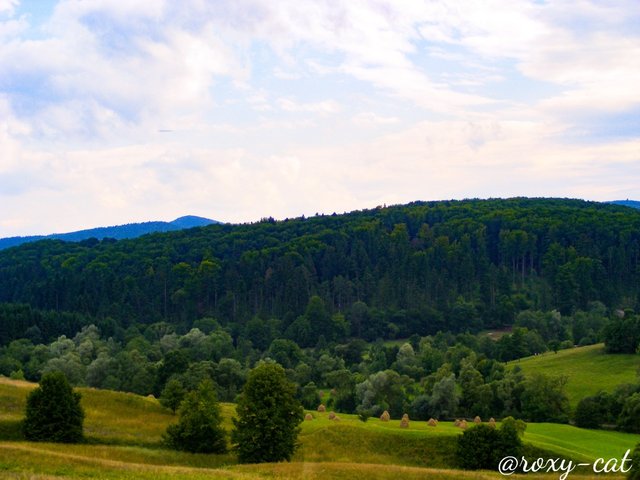 WaterMark_2018-11-14-17-41-18.jpg
