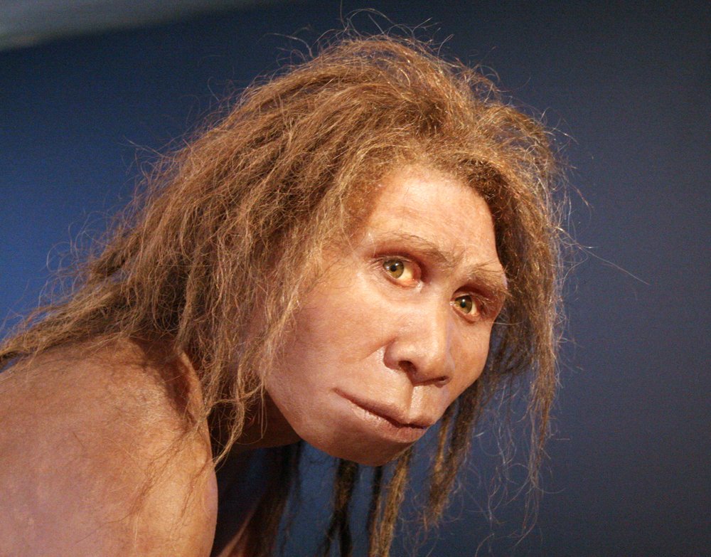 Homo capensis. Homo georgicus (человек грузинский) Дманиси.