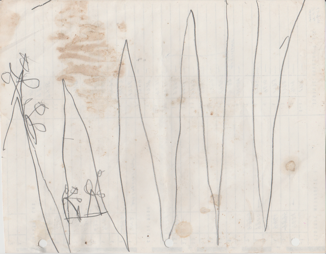 1992-01 Karate Class Turtles People Party Running Around Birds-06.png