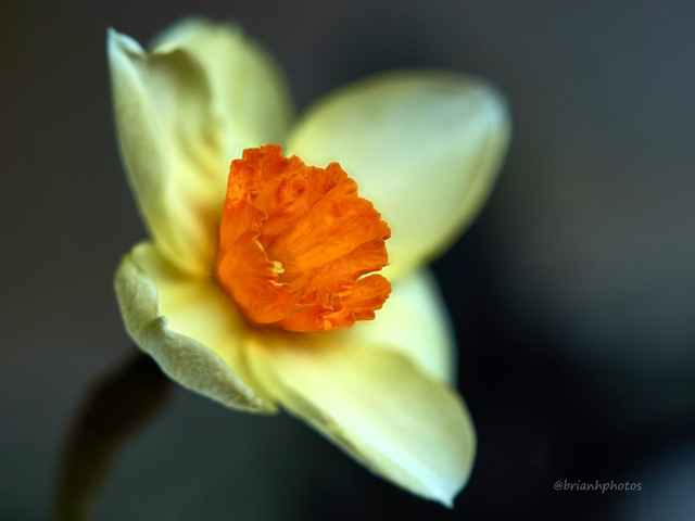 2018-04-07-15.00.34 ZS retouched 1.jpg