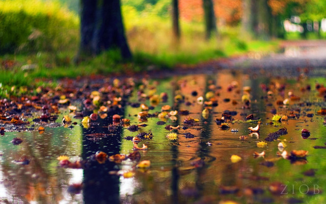 230004698-rainy-spring-desktop-wallpaper.jpg
