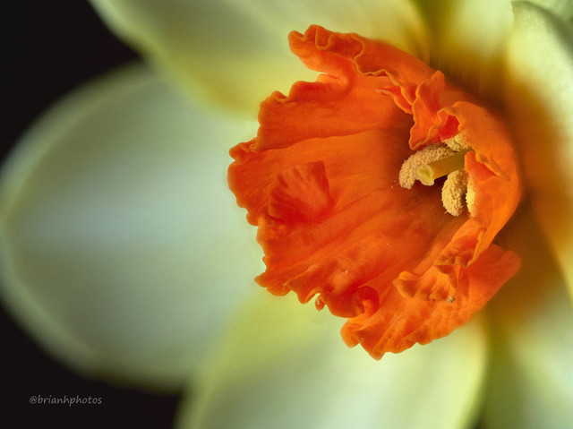 2018-04-06-17.19.10 ZS retouched 1.jpg