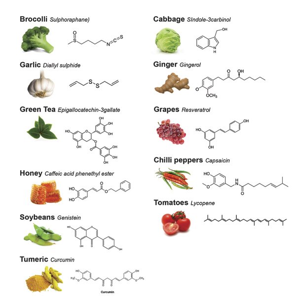 Phytochemicals. Phytochemical Landscape.