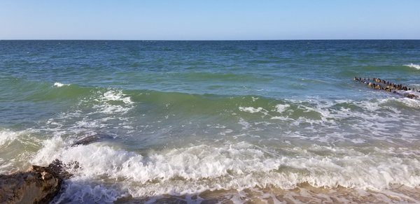 20181107_154528.jpg