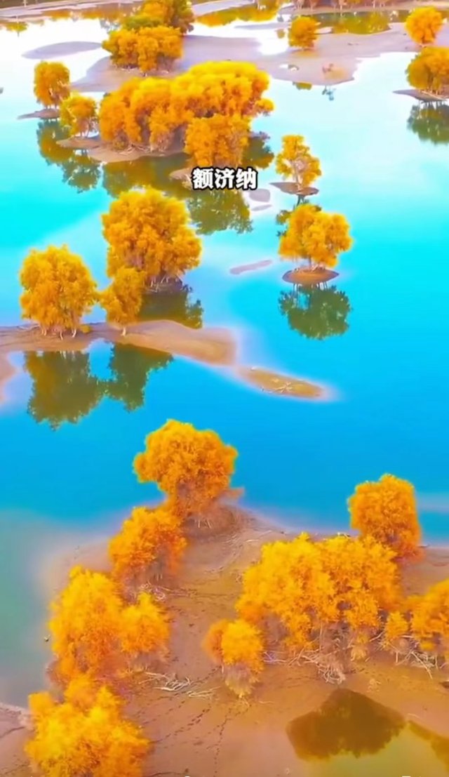 微信图片_20240424230507.jpg