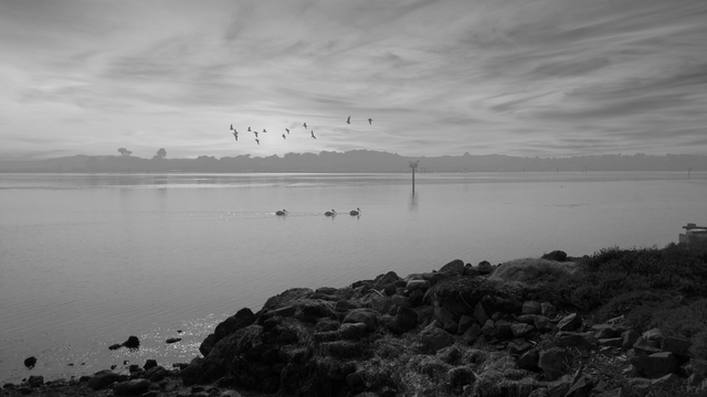 IMG_20170903_165905-bay-life-the-mist-rolls-in-#288.png