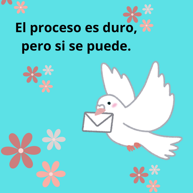 El proceso es duro, pero si se puede..png