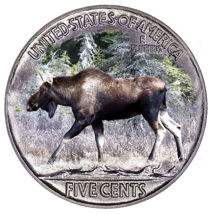 shasta2019march19th47moosecoinorionsbeltbuckle804io.jpg