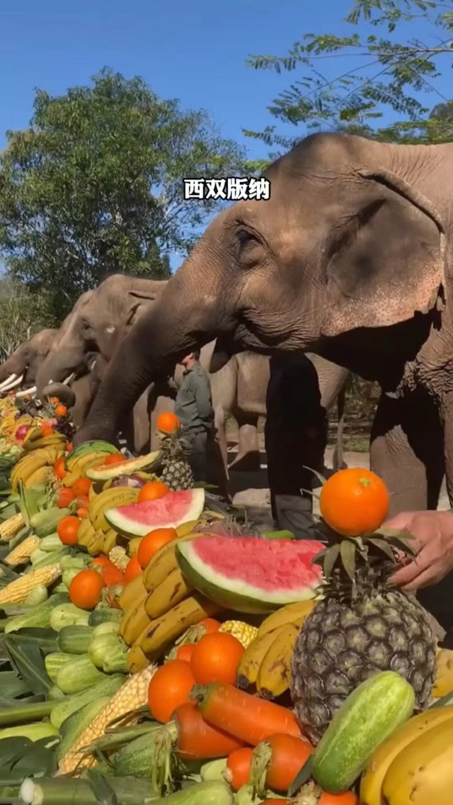 微信图片_20240424230241.jpg
