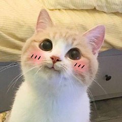 微信图片_20180904174720.jpg