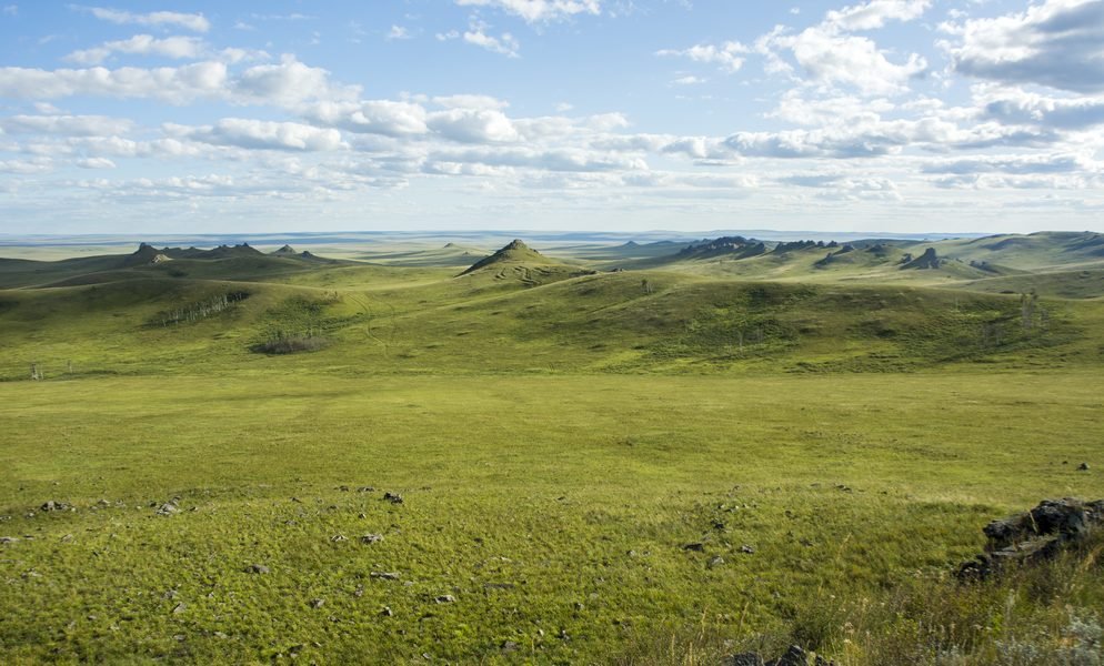 Гора пуста. Даурские степи Забайкальский край. Даурский заповедник степи. Даурская лесостепь. Степная зона Забайкальского края.