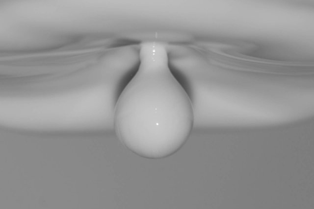 DSC_2890-2.jpg