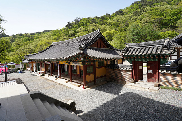 b-DSC00502.JPG