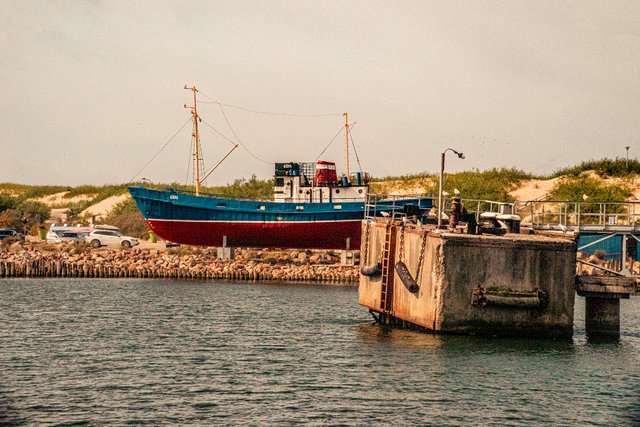 DSC01306-1.jpg
