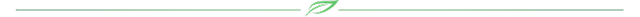 divider_01.png