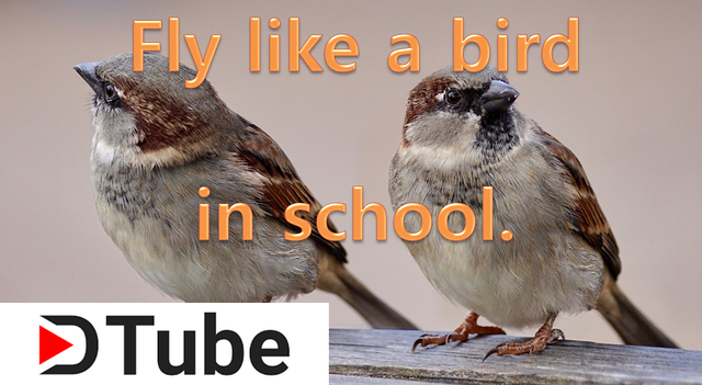 fly bird.PNG