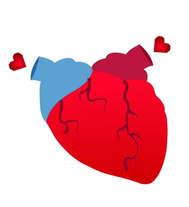 heart 44.png