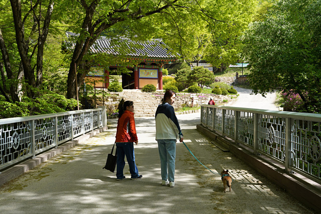 b-DSC00465.JPG