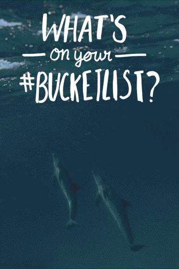 BucketList.gif