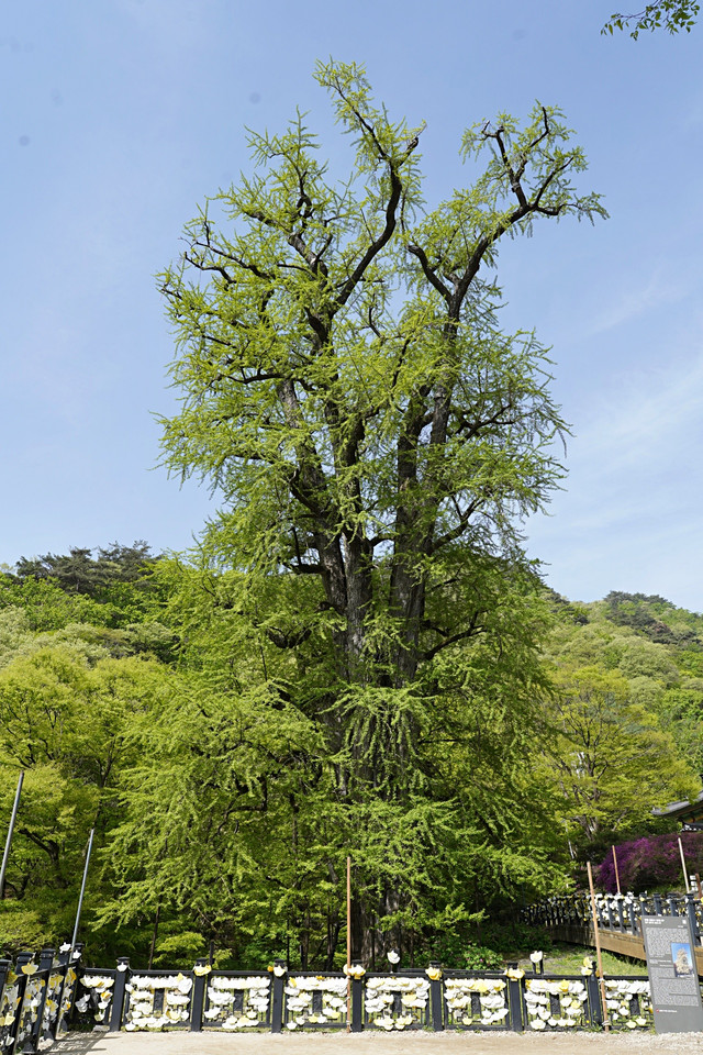 b-DSC00470.JPG