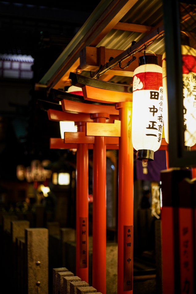 DSC08632-1.jpg