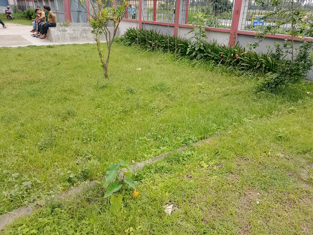 1000037510.jpg