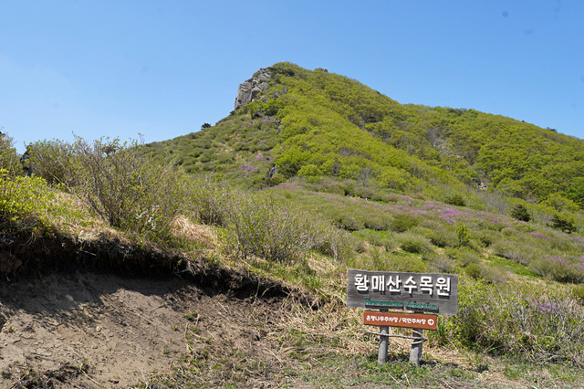 b-DSC02907.JPG