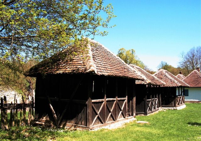 Brankovina.jpg