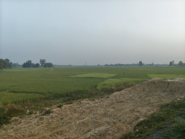 1000320109.jpg